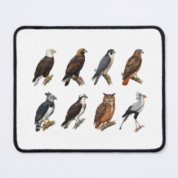 Item preview,  Birds of Prey designed and sold by ArunDandiboina.