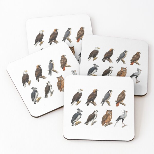 Item preview,  Birds of Prey designed and sold by ArunDandiboina.