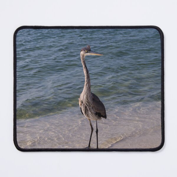 Item preview, Aves No. 1 designed and sold by ROSE ANN BANILAR.