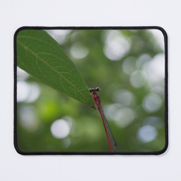 Item preview, Rizal  Dragonfly designed and sold by ROSE ANN BANILAR.