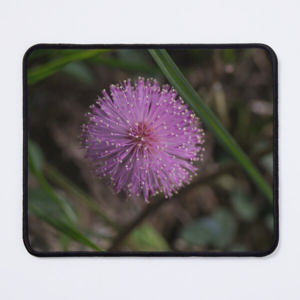 Item preview, Mimosa designed and sold by ROSE ANN BANILAR.