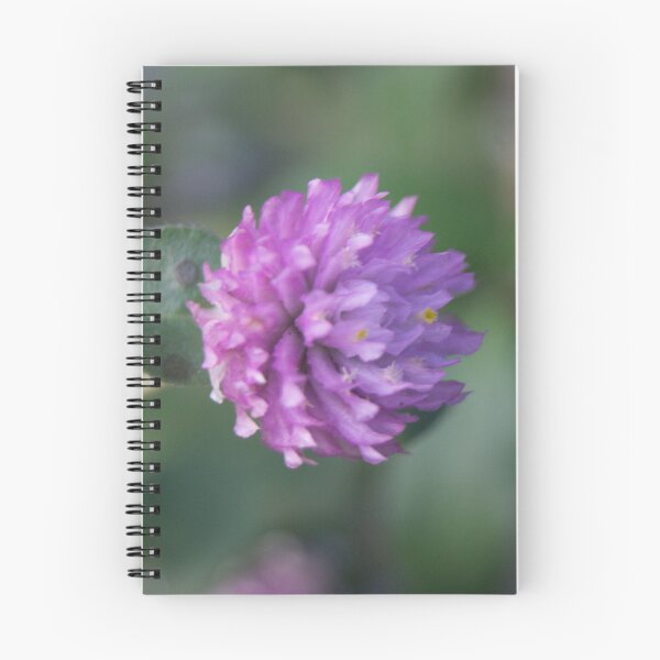 Item preview, Globe Amaranth designed and sold by ROSE ANN BANILAR.