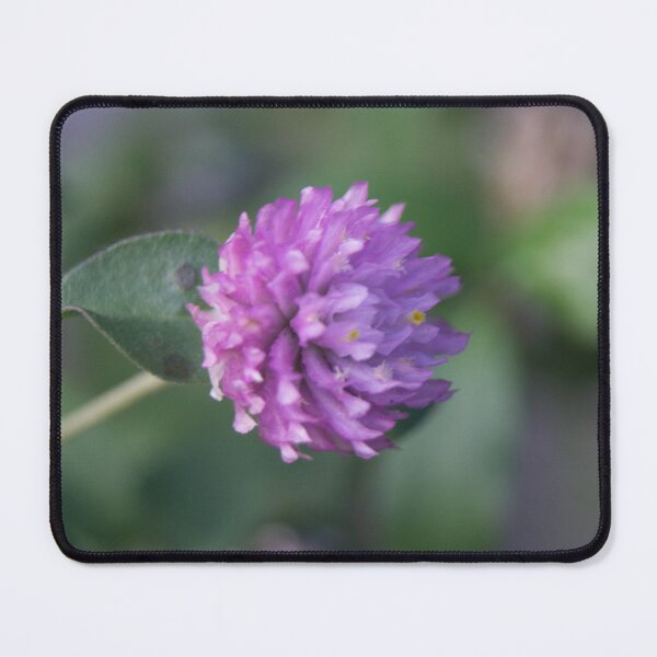 Item preview, Globe Amaranth designed and sold by ROSE ANN BANILAR.