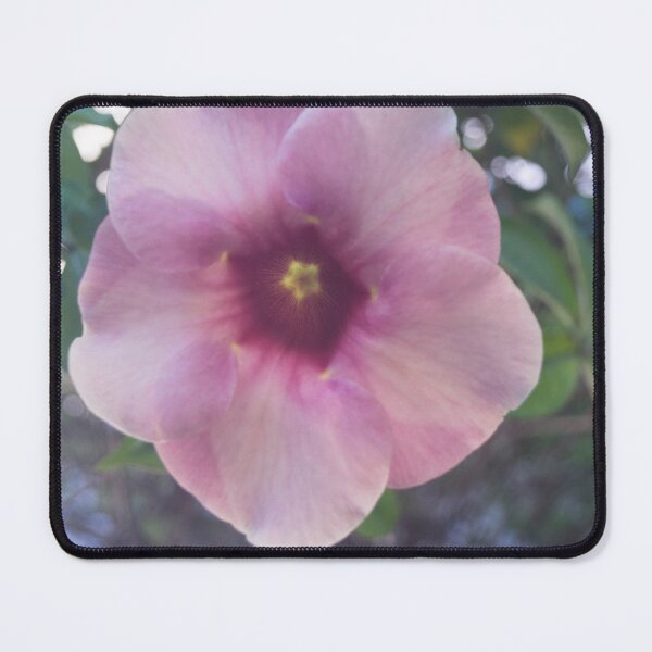 Item preview, Allamanda blanchetii designed and sold by ROSE ANN BANILAR.