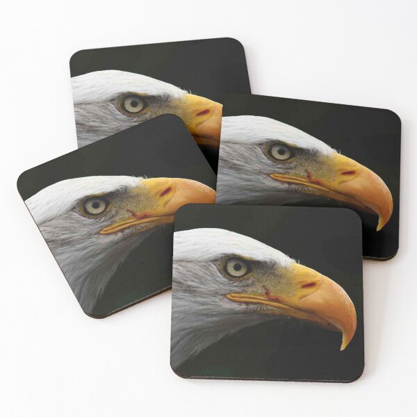 Item preview, Águila calva designed and sold by Alan Harman.
