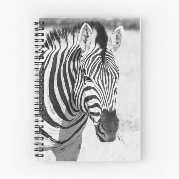 Item preview, Zebra portrait. designed and sold by Anne Scantlebury.