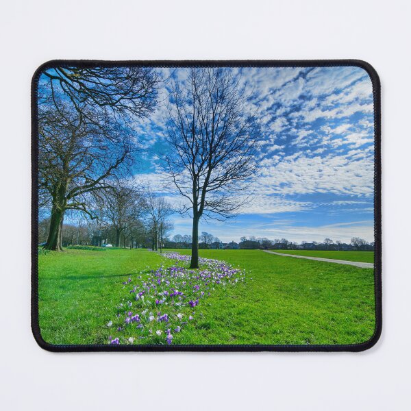 Item preview, The Stray Harrogate Crocuses designed and sold by Alisonchambers2.