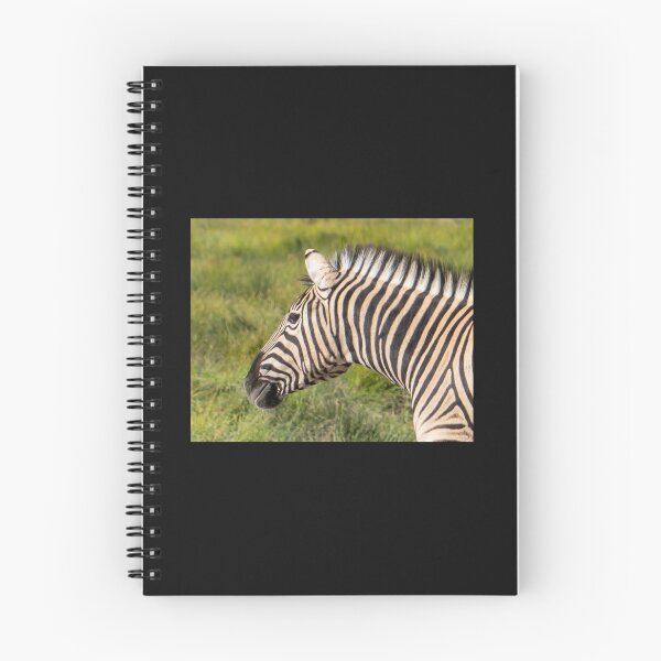 Item preview, Zebra. designed and sold by Anne Scantlebury.