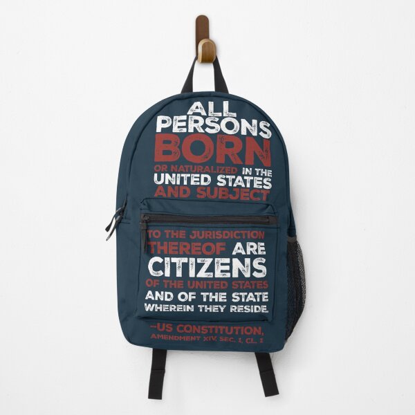 Item preview, American Citizen 14th Amendment Constitutional Art designed and sold by robotlantern.