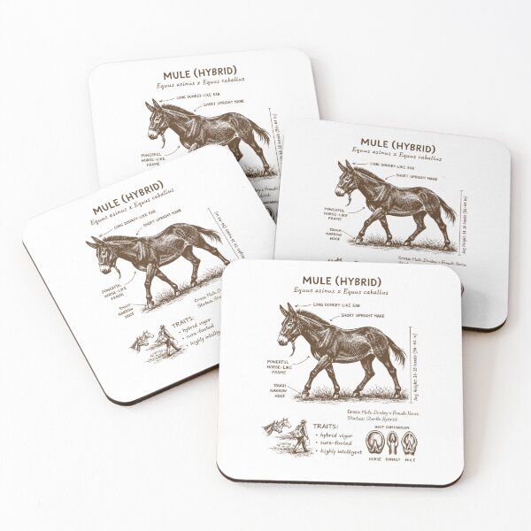 Item preview, Mule Hybrid Anatomy Farm Animal Lover Zoologist Farm Life designed and sold by MelanieIShelton.