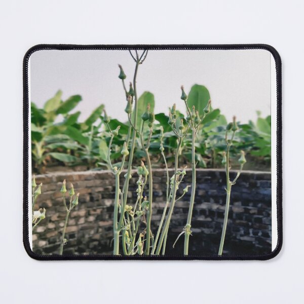 Item preview, Wild Stems Over Ancient Stone Wall designed and sold by GouravArts.
