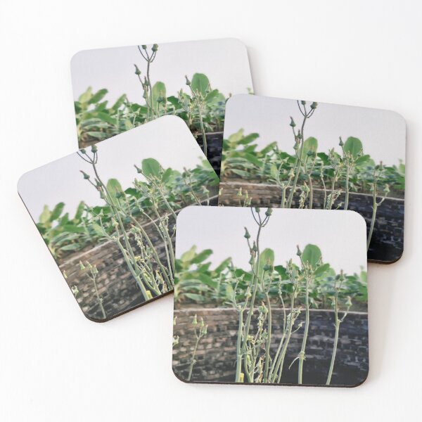 Item preview, Wild Stems Over Ancient Stone Wall designed and sold by GouravArts.