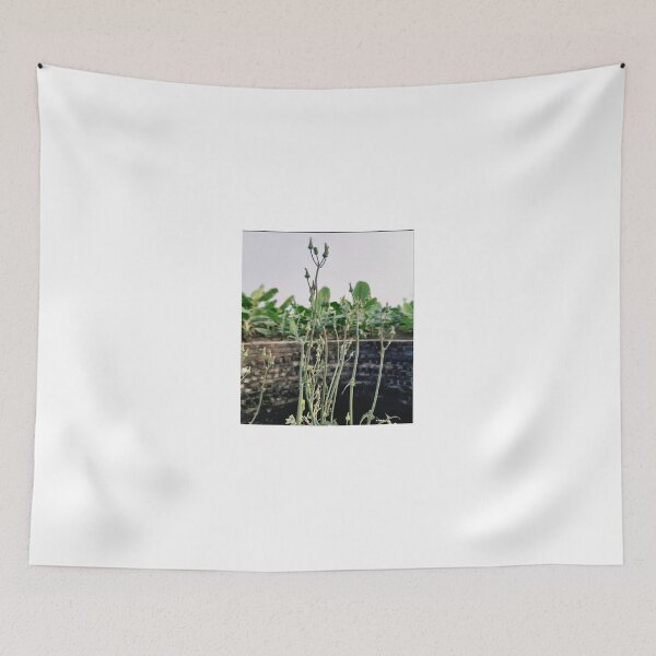 Item preview, Wild Stems Over Ancient Stone Wall designed and sold by GouravArts.