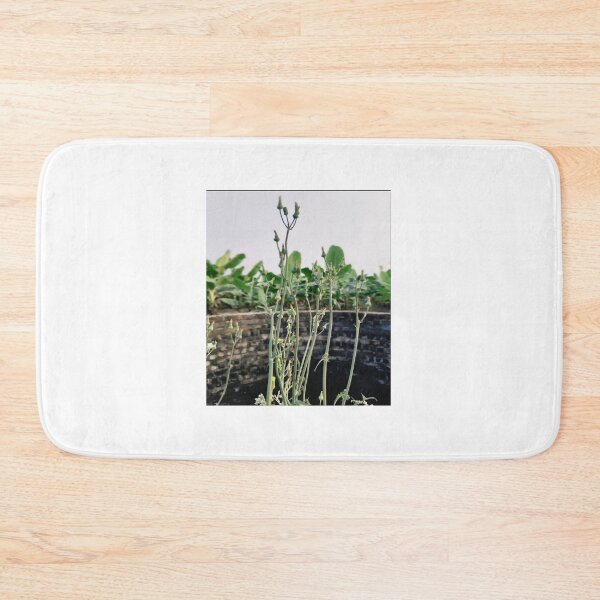Item preview, Wild Stems Over Ancient Stone Wall designed and sold by GouravArts.