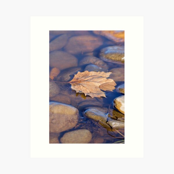 Forgotten Art Print