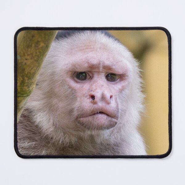 Item preview, You Had One Job Funny Monkey Meme – Relatable Animal Reaction Humor designed and sold by WildFrameNature.