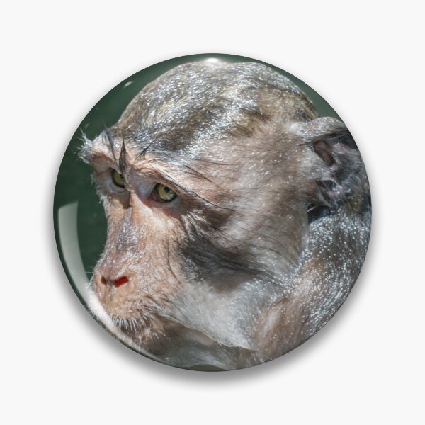 Item preview, Don’t Test Me Before My Coffee Angry Monkey Meme – Funny Relatable Animal Humor designed and sold by WildFrameNature.
