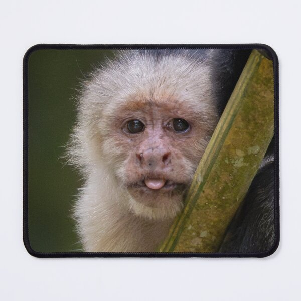 Item preview, Bleh Monkey Meme – Funny Mood Reaction Animal Face designed and sold by WildFrameNature.