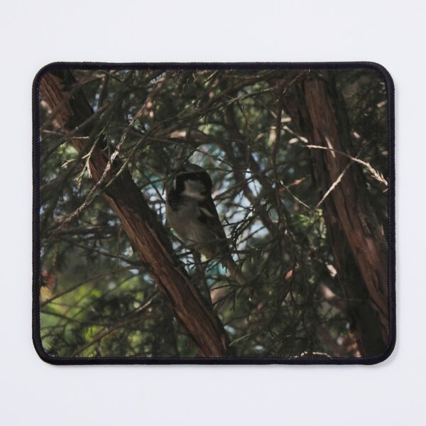 Item preview, Fuzzy Long-Tailed Tit Bird on Spring Branches Macro designed and sold by vikko-art.