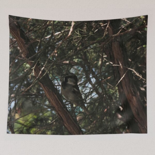 Item preview, Fuzzy Long-Tailed Tit Bird on Spring Branches Macro designed and sold by vikko-art.