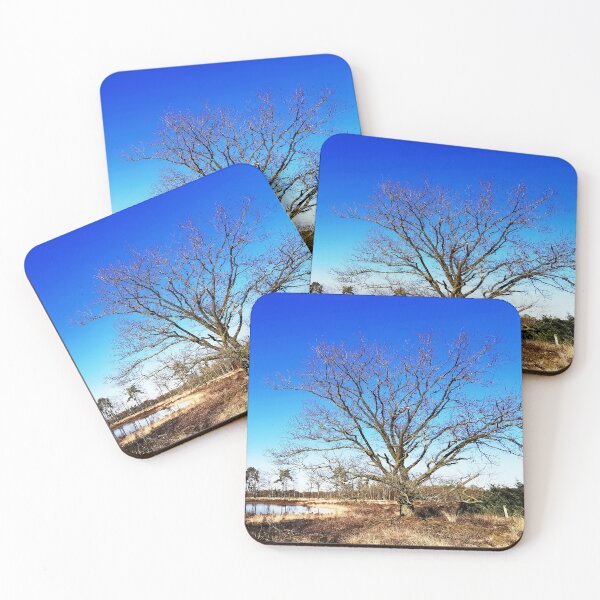 Item preview, Solitary Tree by a Tranquil Lake designed and sold by Peter Kraaibeek | Generative Designs and Car Art.