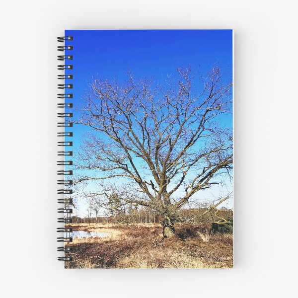 Item preview, Solitary Tree by a Tranquil Lake designed and sold by Peter Kraaibeek | Generative Designs and Car Art.