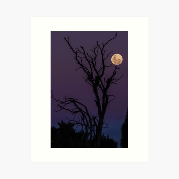 Creepy Moon Rising Art Print