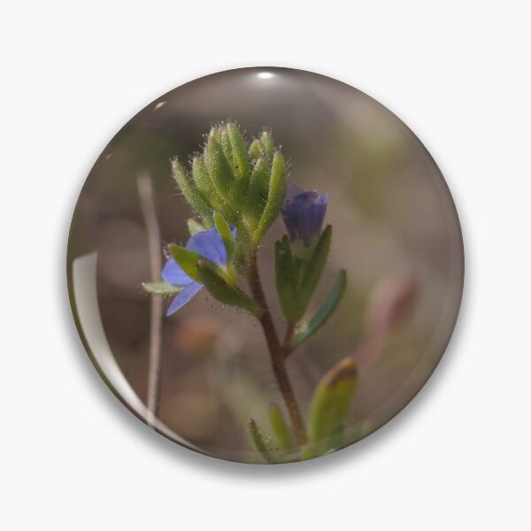 Item preview, Minimalist Fuzzy Green Sprout Macro - Spring Growth designed and sold by vikko-art.