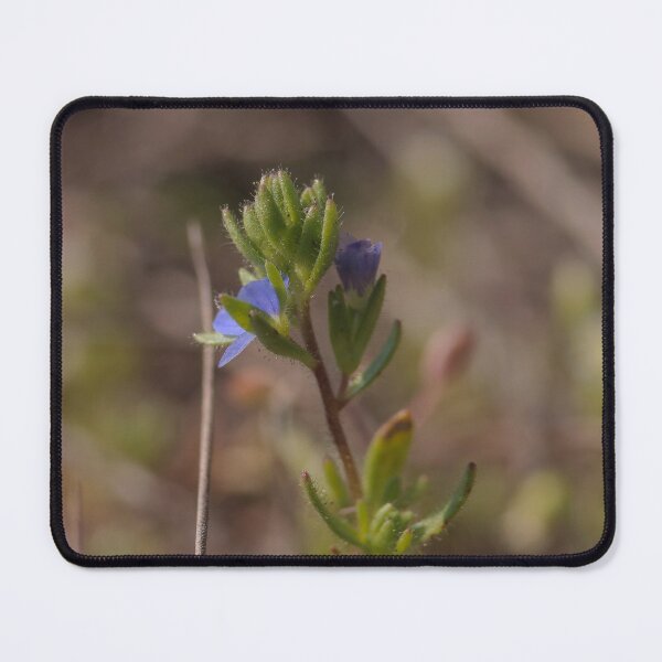 Item preview, Minimalist Fuzzy Green Sprout Macro - Spring Growth designed and sold by vikko-art.