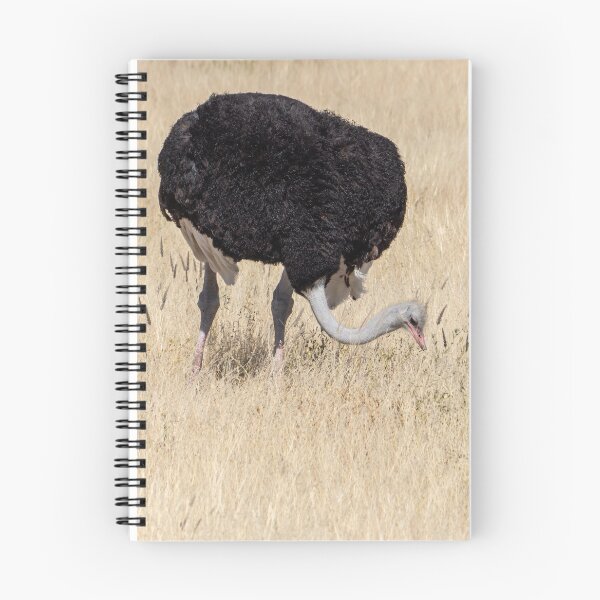 Item preview, Ostrich. designed and sold by Anne Scantlebury.