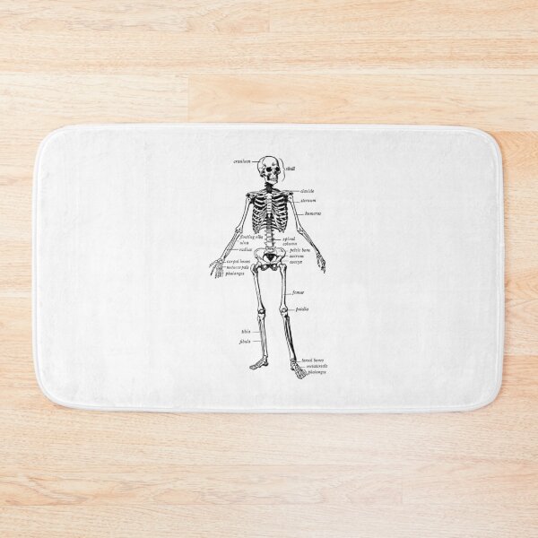 Item preview, Vintage Human Skeleton Osteology Chart designed and sold by ikgrnzmpb88.