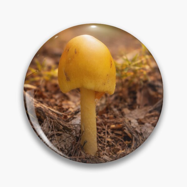 Item preview, Yellow Caesar Mushroom in Autumn Forest Leaves designed and sold by Blossom-Breeze.