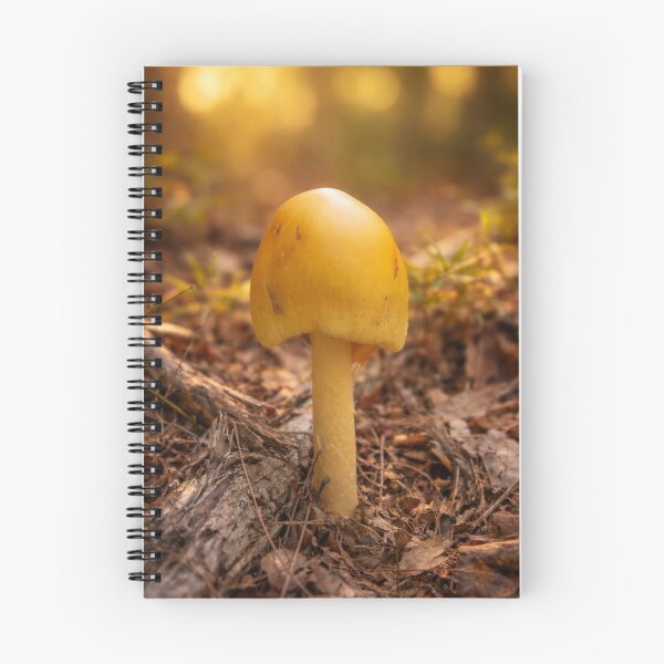 Item preview, Yellow Caesar Mushroom in Autumn Forest Leaves designed and sold by Blossom-Breeze.