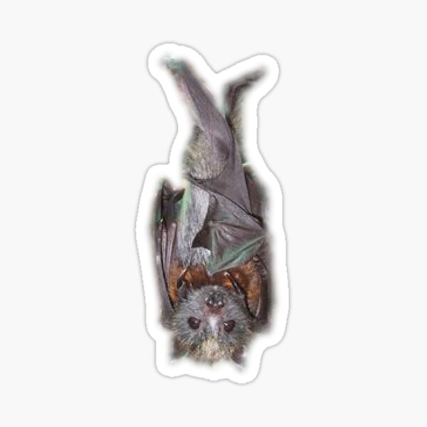 Item preview, Bat Hanging Off Shoulder . designed and sold by BabyBats.