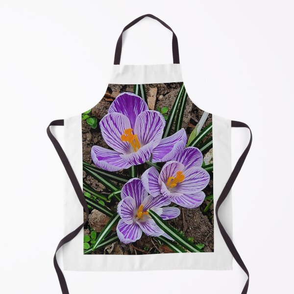Item preview, Crocus flowers  designed and sold by IgorKovalenko.