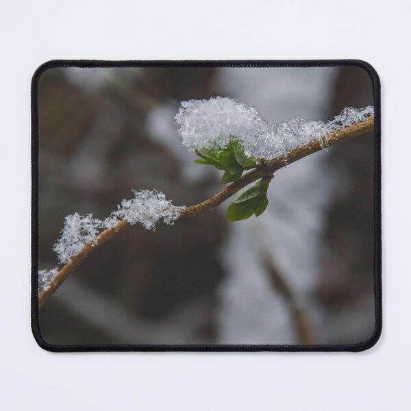Item preview, Spring Awakening in Winter Frost designed and sold by ShotsbyDesiree.