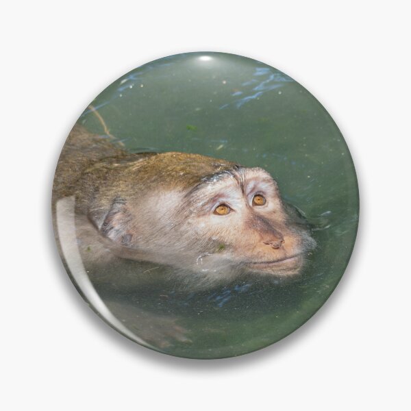 Item preview, Okay Sloth – Funny Relatable Monkey Meme Calm Reaction designed and sold by WildFrameNature.