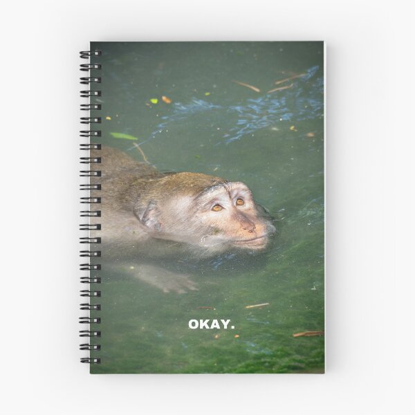 Item preview, Okay Sloth – Funny Relatable Monkey Meme Calm Reaction designed and sold by WildFrameNature.