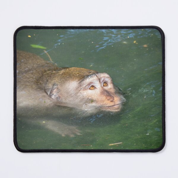 Item preview, Thinking Monkey – Funny Animal Meme Calm Thoughtful Mood designed and sold by WildFrameNature.