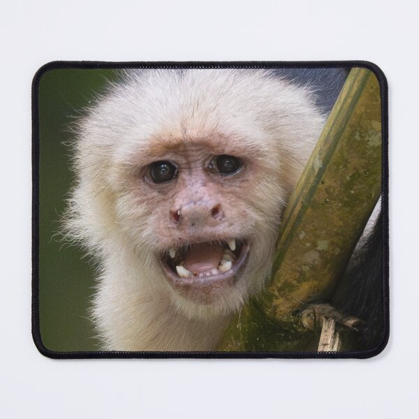 Item preview, Feral Monkey – Funny Animal Meme Wild Energy Chaos Mood designed and sold by WildFrameNature.