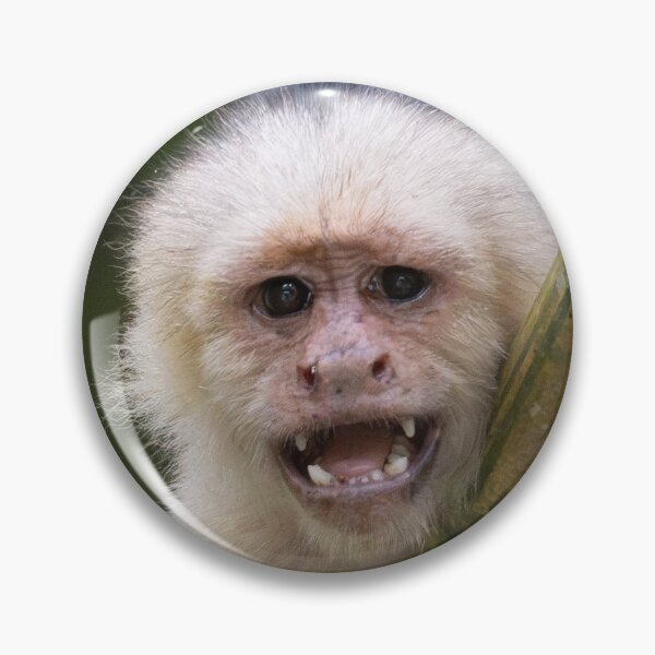 Item preview, Unhinged Monkey – Funny Animal Meme Chaotic Energy Relatable Mood designed and sold by WildFrameNature.
