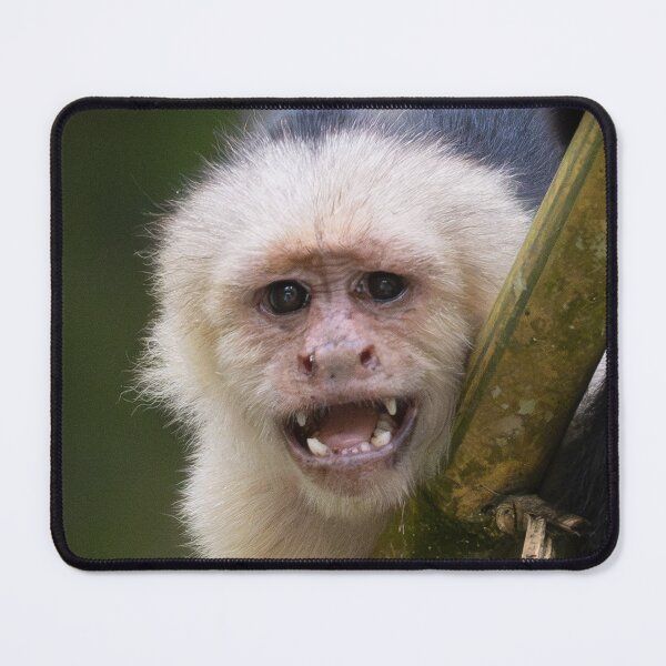 Item preview, Unhinged Monkey – Funny Animal Meme Chaotic Energy Relatable Mood designed and sold by WildFrameNature.