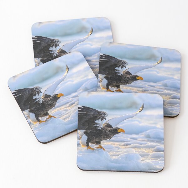 Item preview, Steller's sea eagle: The largest eagle in the world designed and sold by NaturfotoEdel.