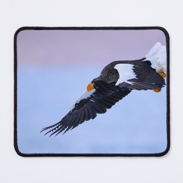 Item preview, Steller's sea eagle: The largest eagle in the world designed and sold by NaturfotoEdel.