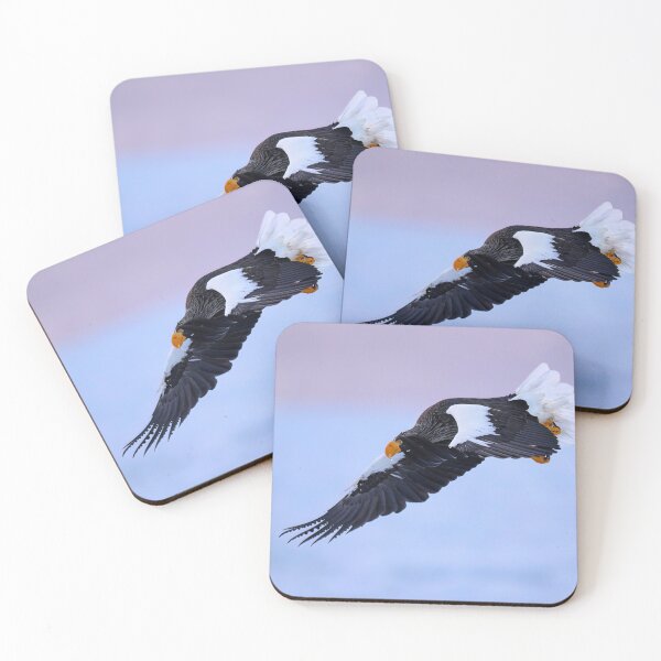 Item preview, Steller's sea eagle: The largest eagle in the world designed and sold by NaturfotoEdel.