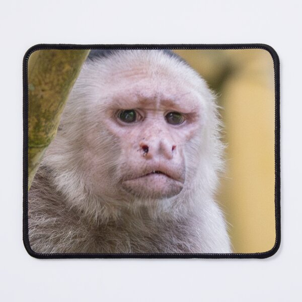 Item preview, Tired Monkey – Relatable Exhausted Mood Funny Animal Meme designed and sold by WildFrameNature.