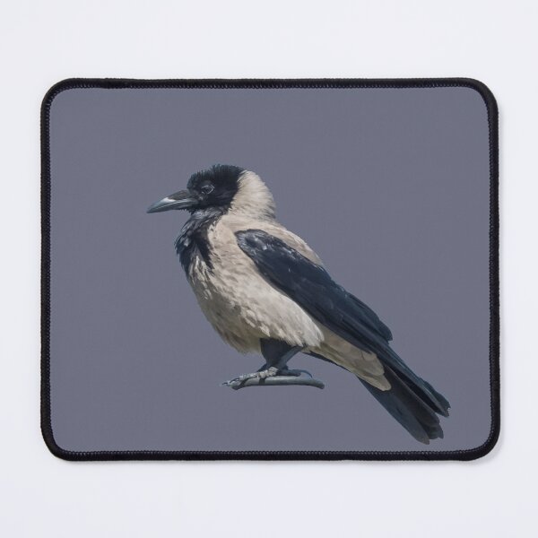 Item preview, Two-Tone Sentinel Black Hooded Crow designed and sold by taiche.