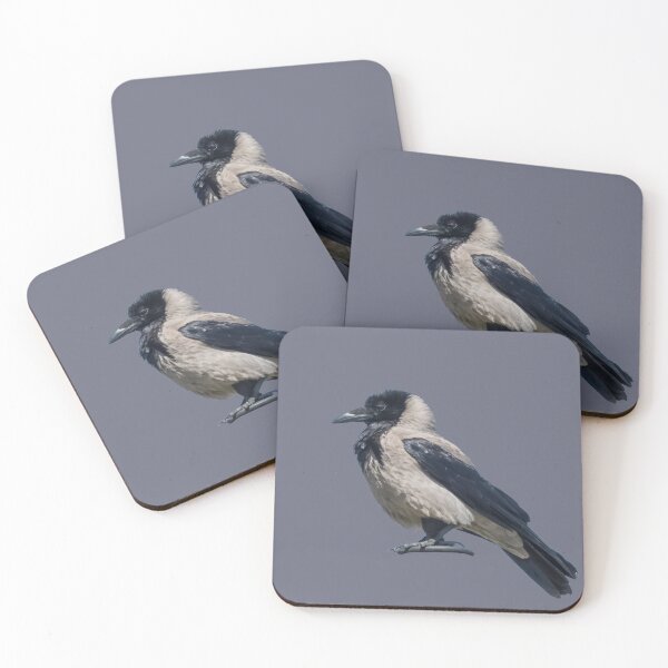 Item preview, Two-Tone Sentinel Black Hooded Crow designed and sold by taiche.