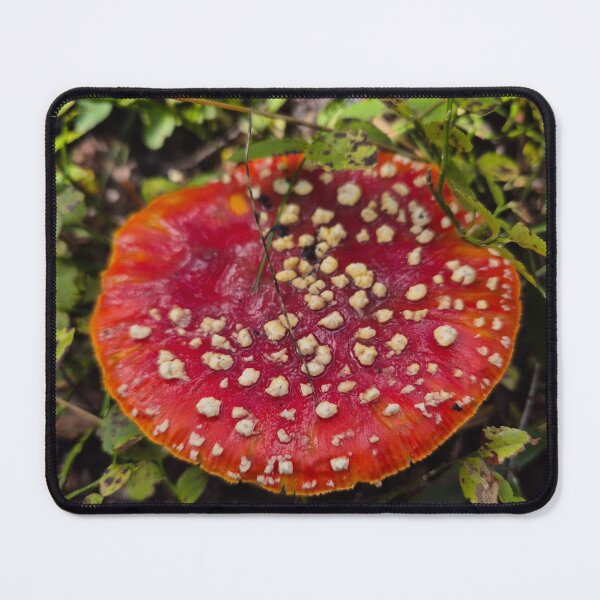 Item preview, Mushroom designed and sold by rulthulda.