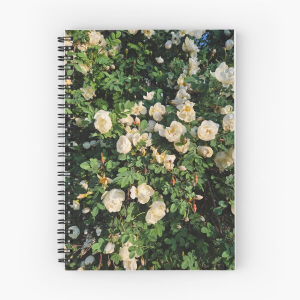 Item preview, White roses designed and sold by rulthulda.